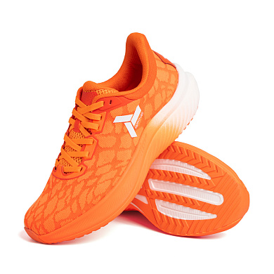 Кроссовки Spine Corsa SR 23/6-06